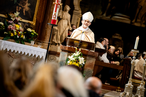 Erzdiözese Wien/Schönlaub